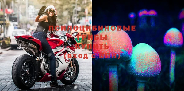 шишки Коряжма